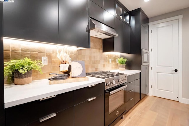 kitchen featuring tasteful backsplash, light hardwood / wood-style floors, and high end stove