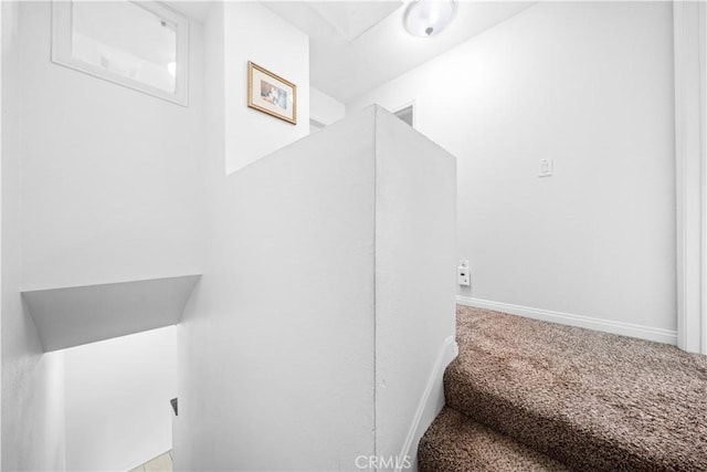 staircase with carpet floors