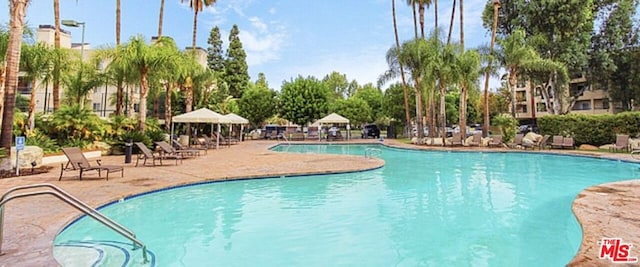 view of pool with a patio