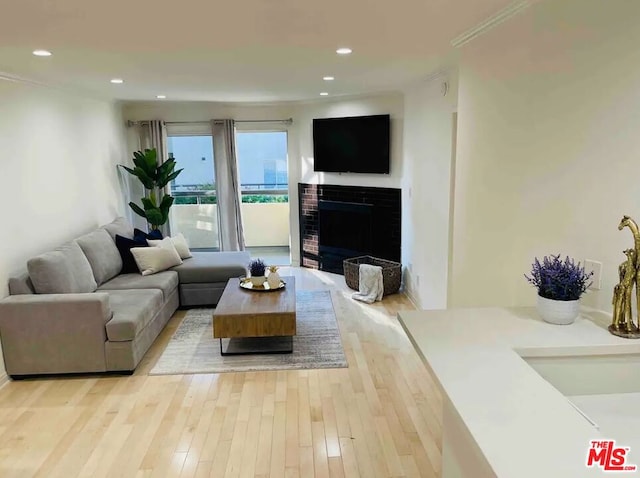 living room featuring crown molding and light hardwood / wood-style flooring