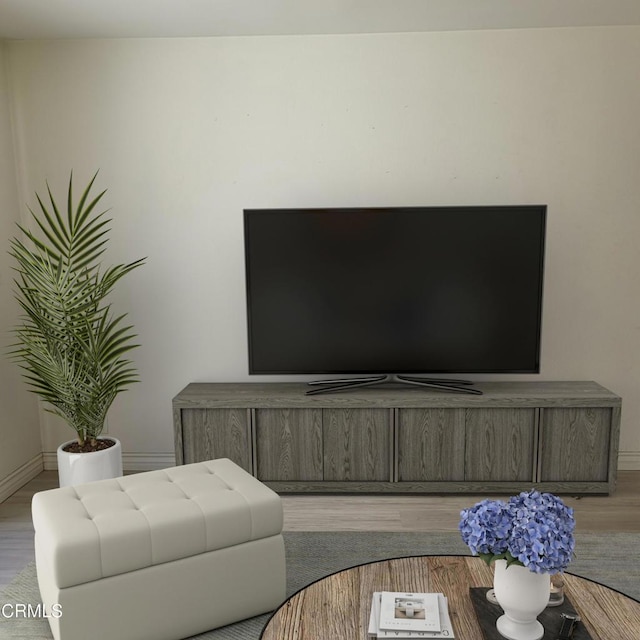 living room featuring light hardwood / wood-style floors