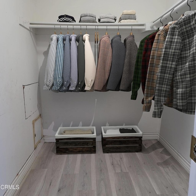 spacious closet with light hardwood / wood-style flooring