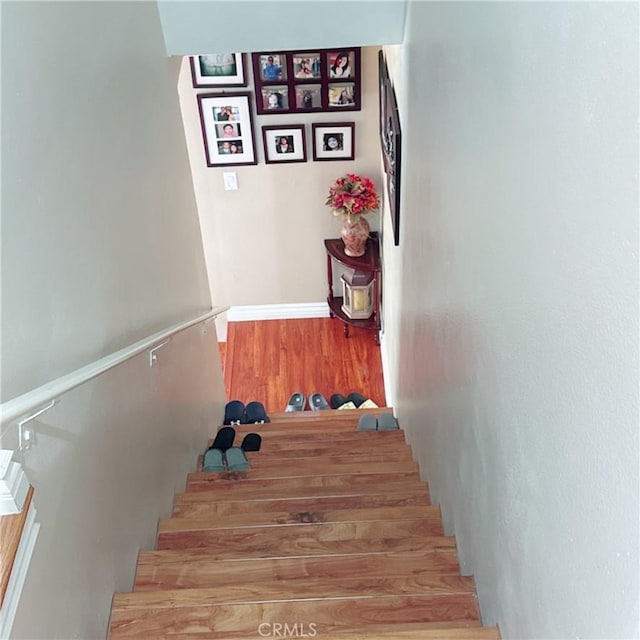 staircase with hardwood / wood-style flooring