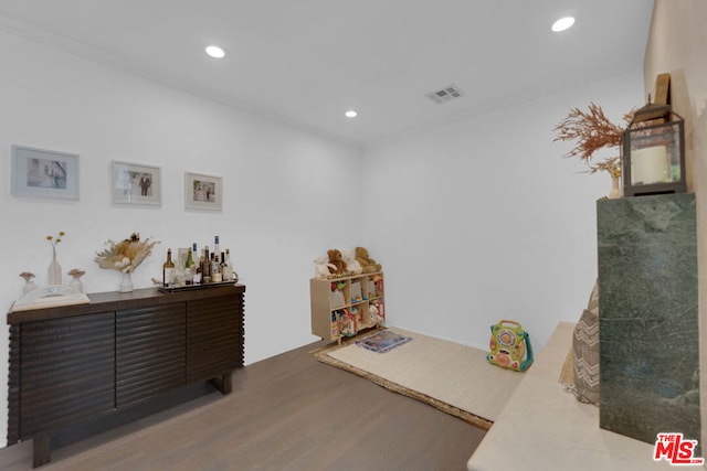 miscellaneous room featuring wood-type flooring and indoor bar