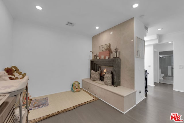 interior space featuring dark wood-type flooring and a fireplace