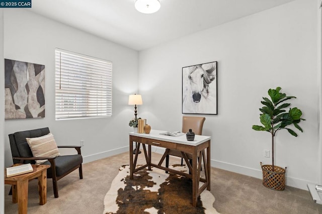 carpeted home office featuring plenty of natural light