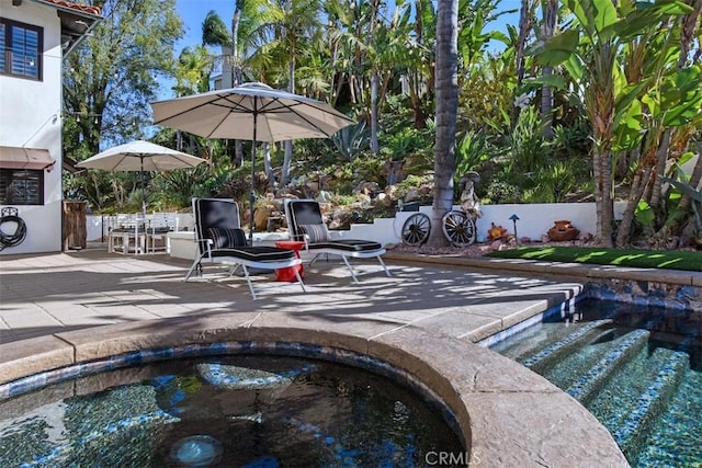 view of pool with a jacuzzi and a patio