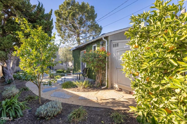 view of yard featuring a storage shed and a patio