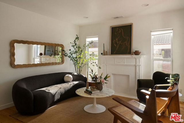 living room featuring wood-type flooring