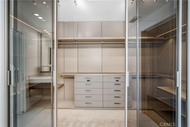 1223 Roxbury Dr Unit 202, Los Angeles, CA 90035 - view of spacious closet