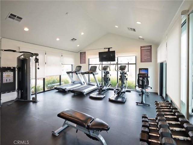 exercise room featuring high vaulted ceiling and a healthy amount of sunlight