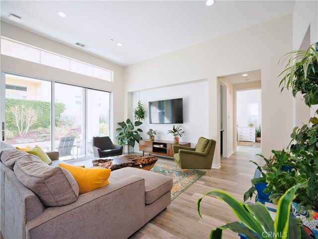 living room featuring light hardwood / wood-style flooring