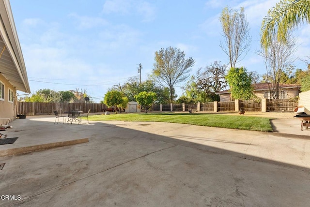 view of yard featuring a patio area and a storage shed