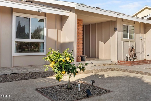 property entrance featuring a patio