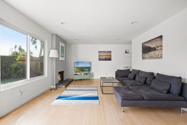 living room with light hardwood / wood-style flooring