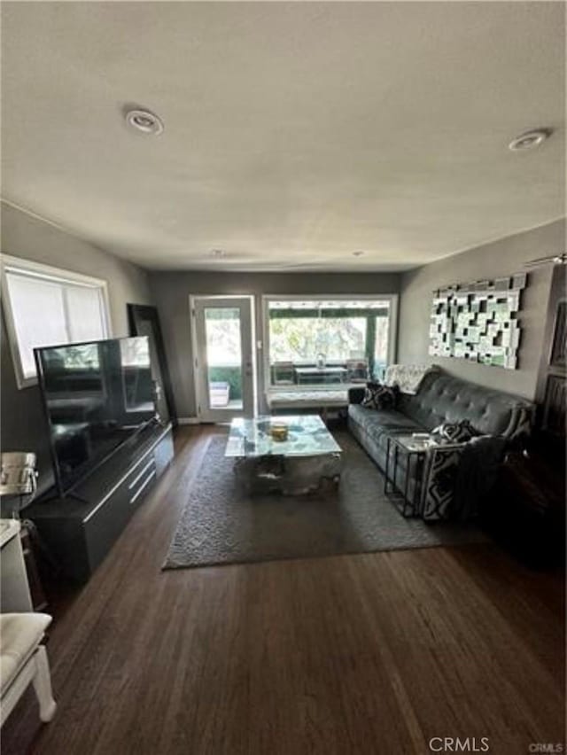 living room with dark hardwood / wood-style floors