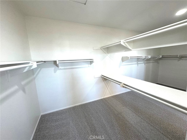 walk in closet with carpet floors