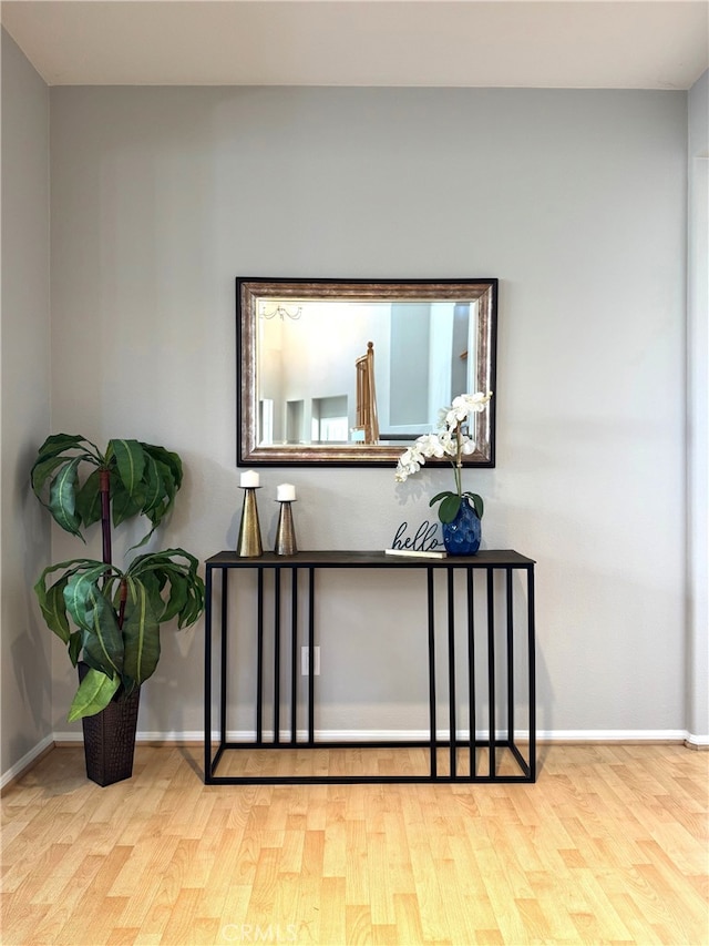 interior details featuring hardwood / wood-style floors