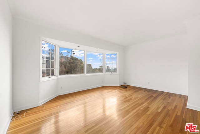 spare room featuring light hardwood / wood-style floors