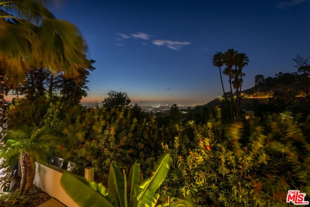 view of nature at dusk