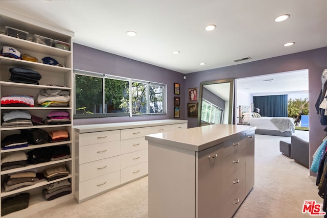 walk in closet with light carpet