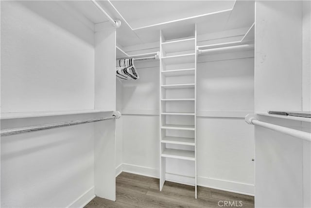 walk in closet with wood finished floors