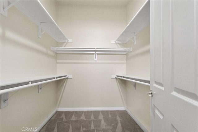 spacious closet with dark carpet