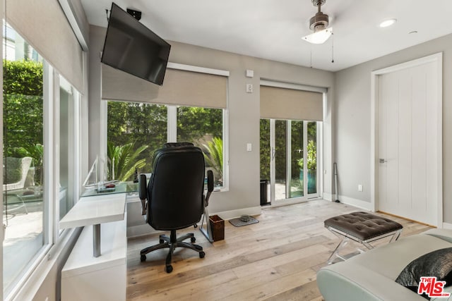 office featuring light hardwood / wood-style floors