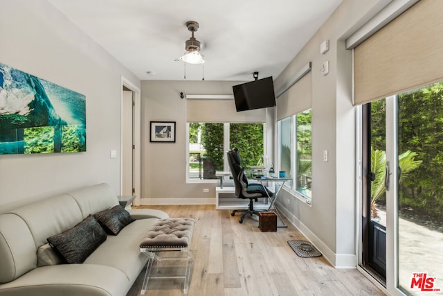 living room featuring ceiling fan and light wood-type flooring