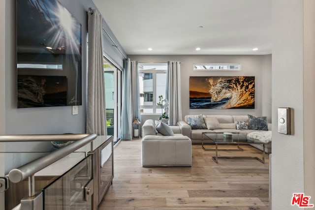 living room featuring light wood-type flooring