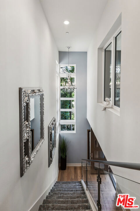 stairs with hardwood / wood-style floors