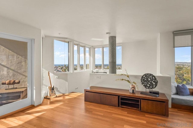 living area featuring light wood-type flooring