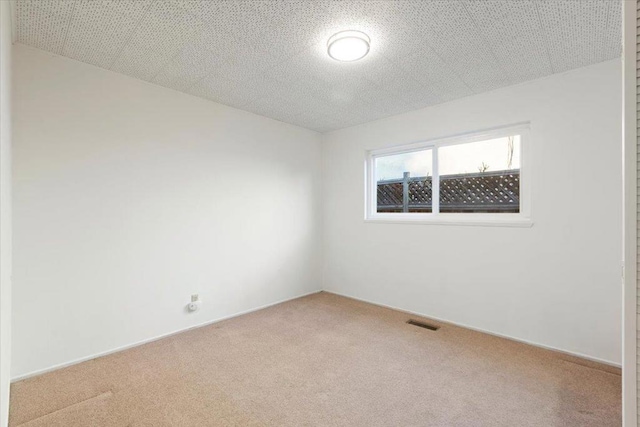 carpeted empty room with a textured ceiling