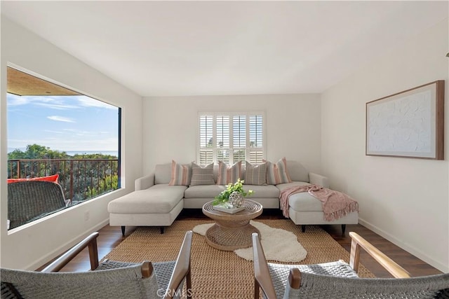 living room with hardwood / wood-style flooring