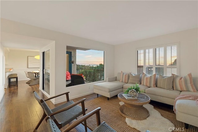 living room with hardwood / wood-style floors