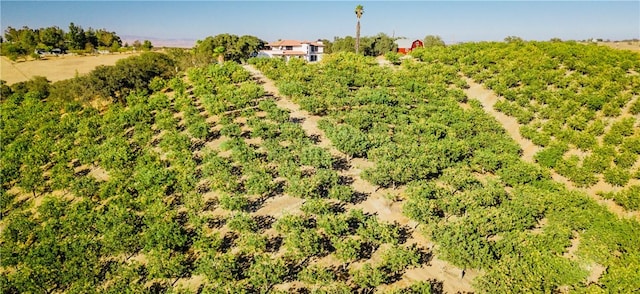 birds eye view of property featuring a rural view