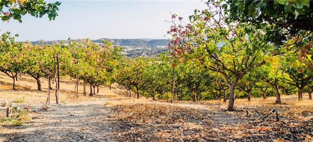 property view of mountains featuring a rural view