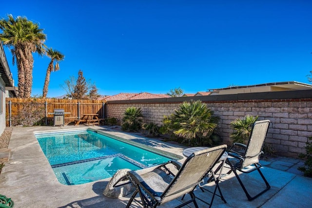 view of pool featuring a patio