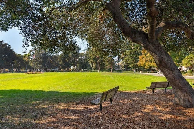 view of community featuring a yard