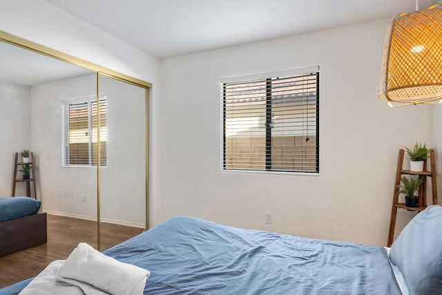 bedroom featuring dark wood-type flooring and a closet