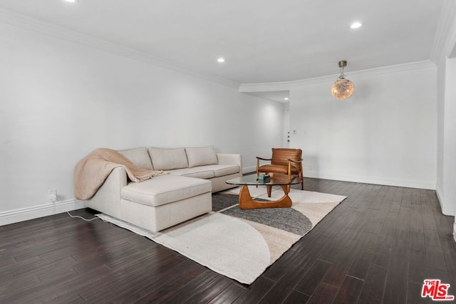 living room featuring crown molding and dark wood-type flooring