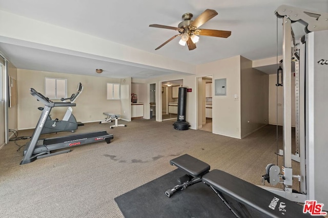 workout area featuring carpet floors, electric panel, and ceiling fan