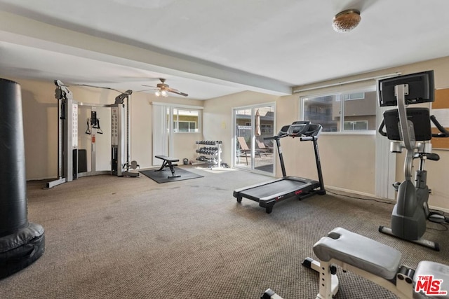 workout room with ceiling fan and carpet flooring