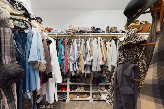 spacious closet with carpet flooring