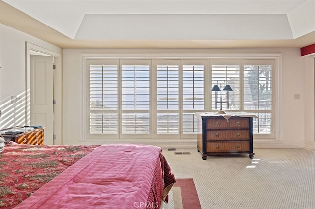 bedroom with light colored carpet and a raised ceiling