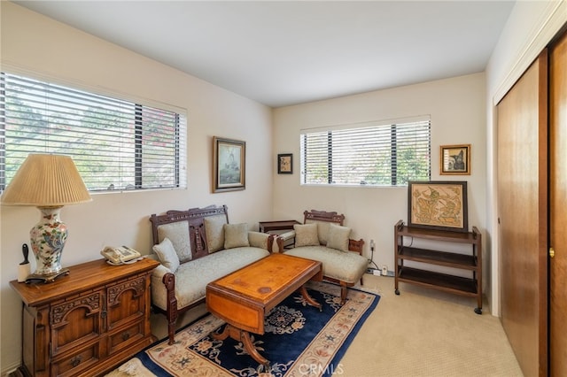 living area with light carpet and a healthy amount of sunlight