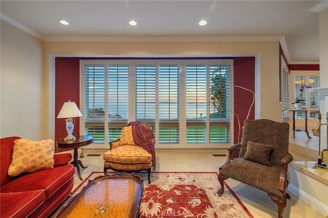 living area with crown molding and a wealth of natural light