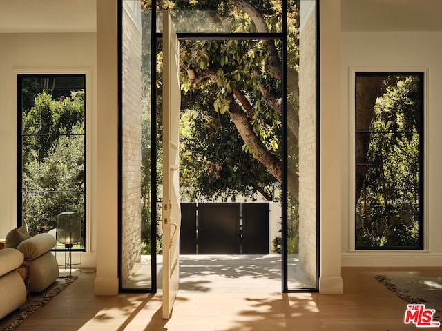 entryway featuring light hardwood / wood-style flooring