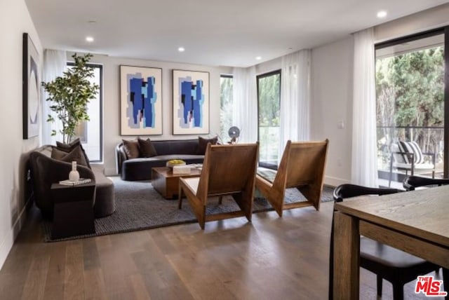 living room featuring hardwood / wood-style flooring