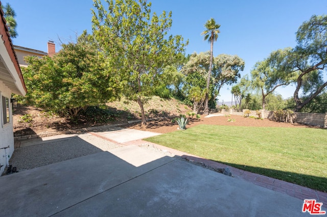 view of yard with a patio area